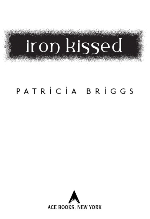 Cover image for book Iron Kissed