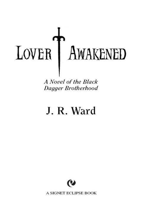 Cover image for book Lover Awakened