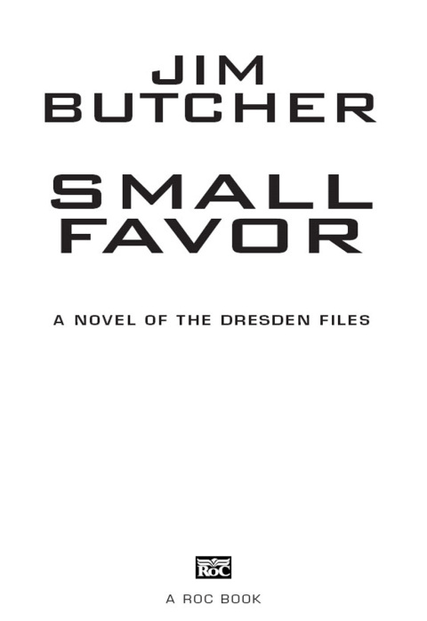 Cover image for book Small Favor