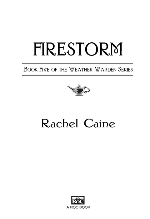 Cover image for book Firestorm