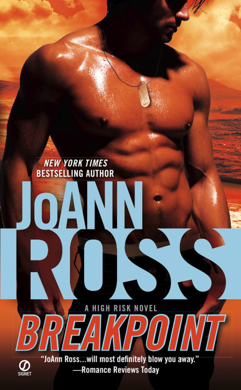 Cover image for book Breakpoint