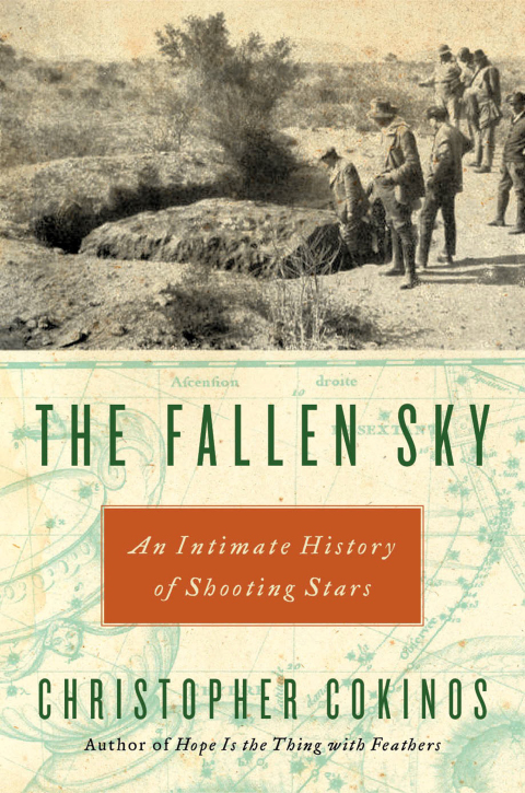 Cover image for book The Fallen Sky