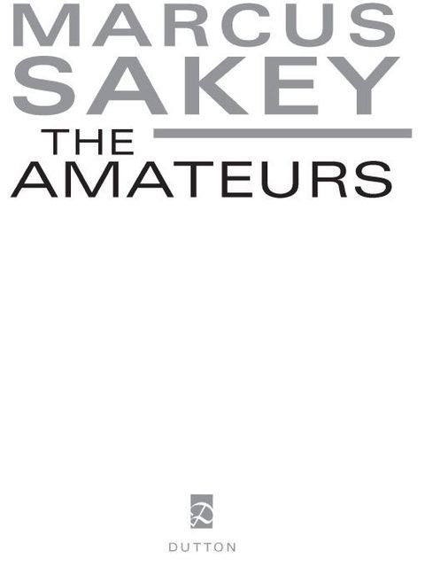 Cover image for book The Amateurs