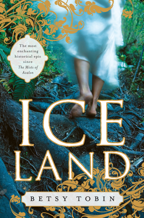 Cover image for book Ice Land