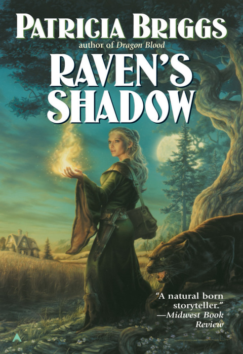 Cover image for book Raven's Shadow