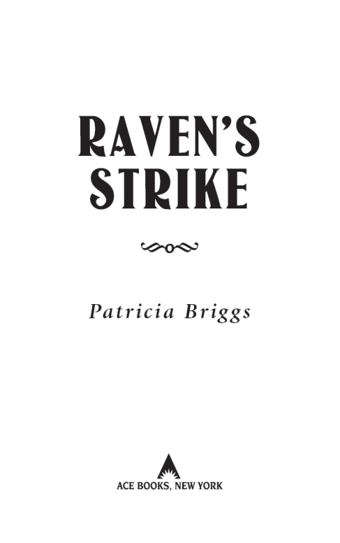 Cover image for book Raven's Strike