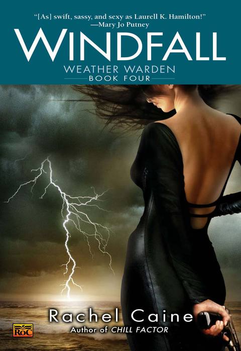 Cover image for book Windfall