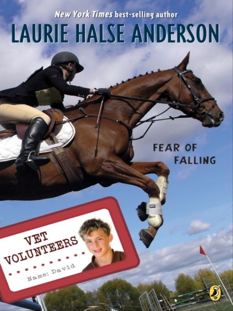 Cover image for book Fear of Falling