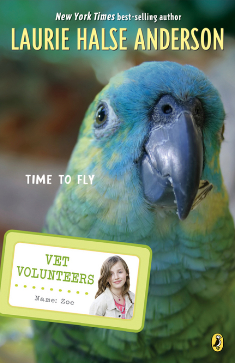 Cover image for book Time to Fly