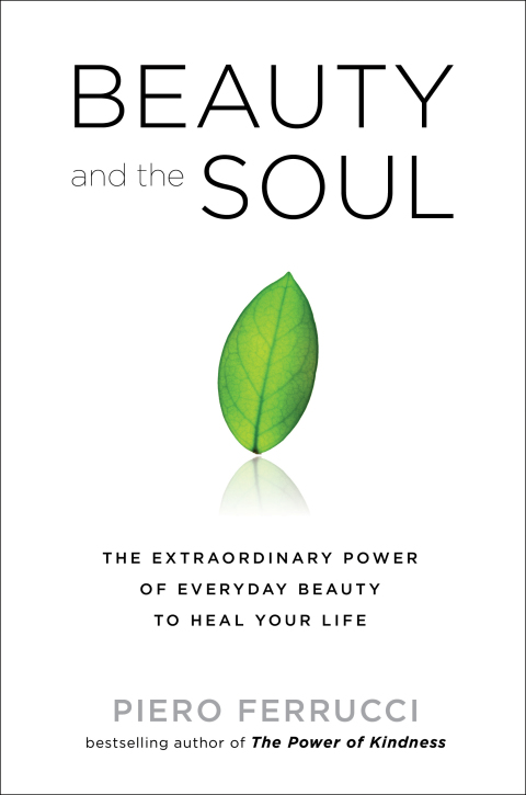 Cover image for book Beauty and the Soul