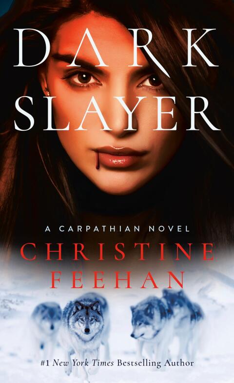 Cover image for book Dark Slayer