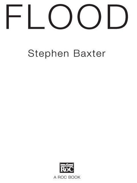 Cover image for book Flood