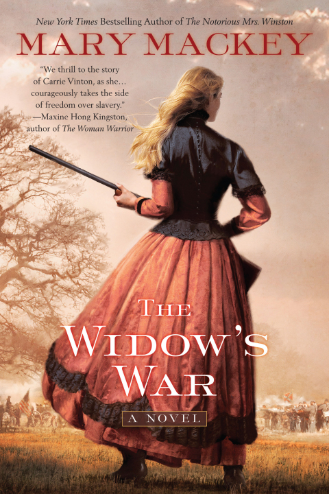 Cover image for book The Widow's War