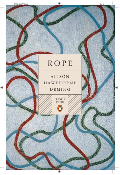 Cover image for book Rope