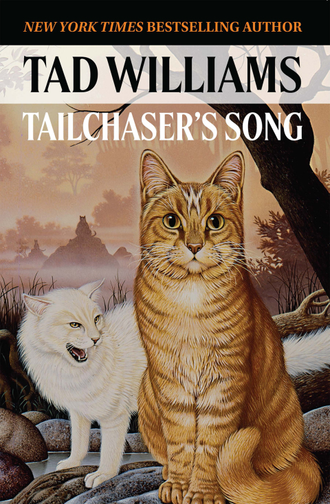 Cover image for book Tailchaser's Song