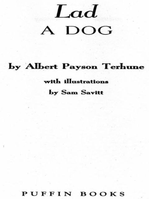 Cover image for book Lad