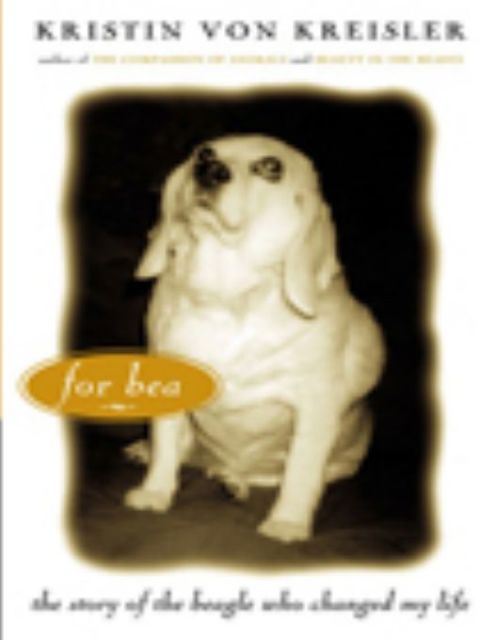 Cover image for book For Bea