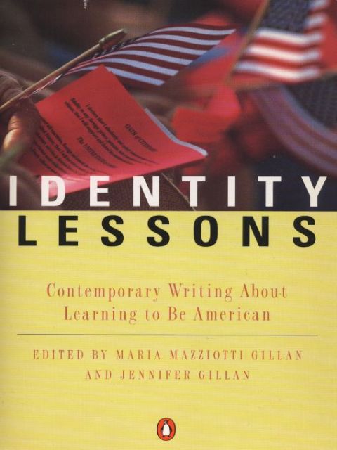 Cover image for book Identity Lessons
