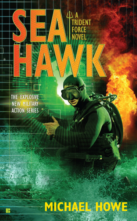 Cover image for book Sea Hawk