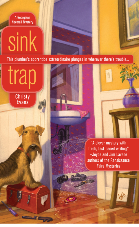 Cover image for book Sink Trap