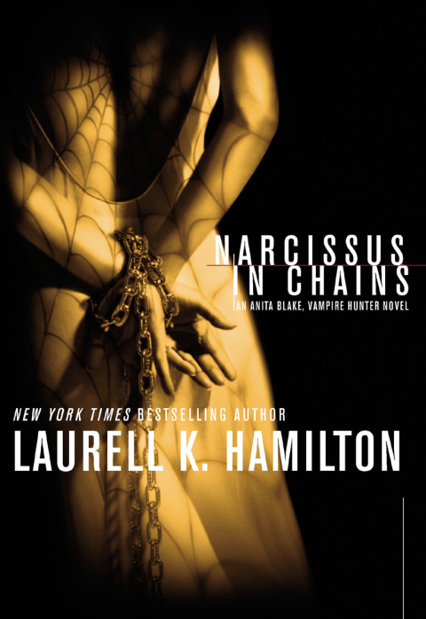 Cover image for book Narcissus in Chains
