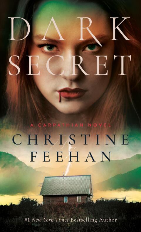 Cover image for book Dark Secret