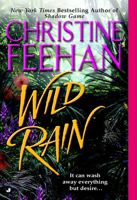 Cover image for book Wild Rain