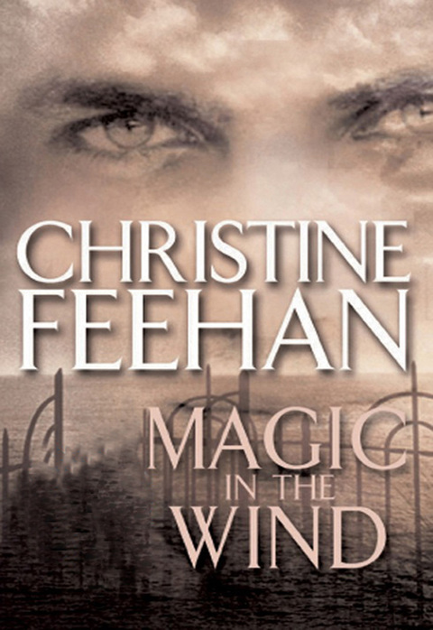 Cover image for book Magic in the Wind
