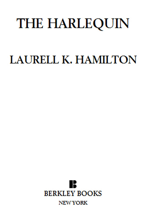 Cover image for book The Harlequin