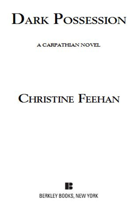 Cover image for book Dark Possession