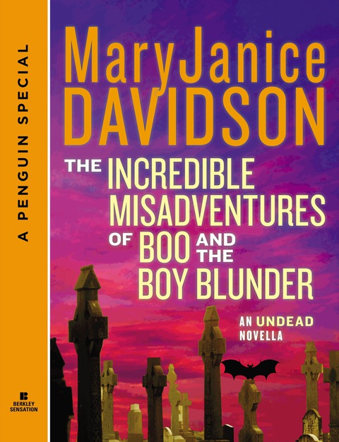 Cover image for book The Incredible Misadventures of Boo and the Boy Blunder