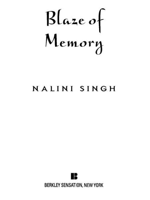 Cover image for book Blaze of Memory