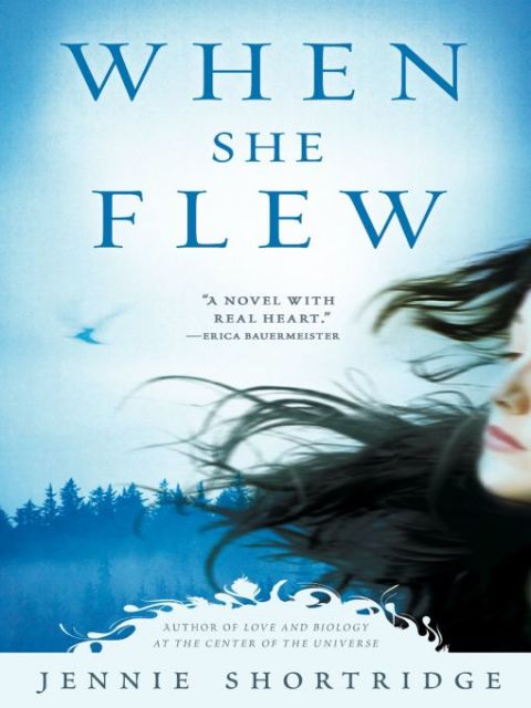 Cover image for book When She Flew