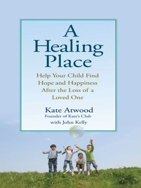 Cover image for book A Healing Place