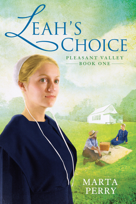 Cover image for book Leah's Choice