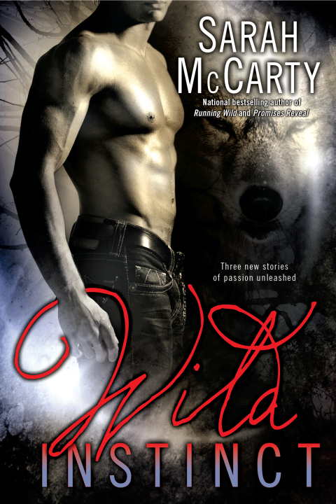 Cover image for book Wild Instinct