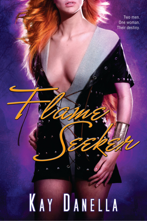 Cover image for book Flame Seeker