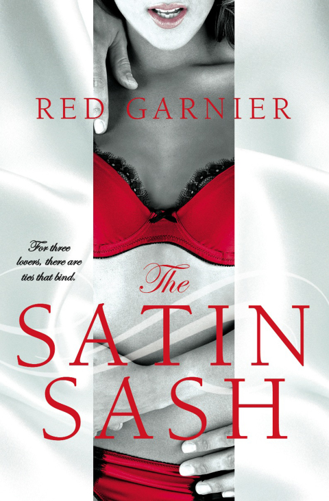 Cover image for book The Satin Sash