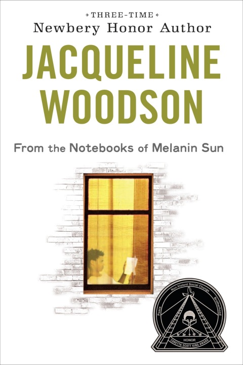 Cover image for book From the Notebooks of Melanin Sun