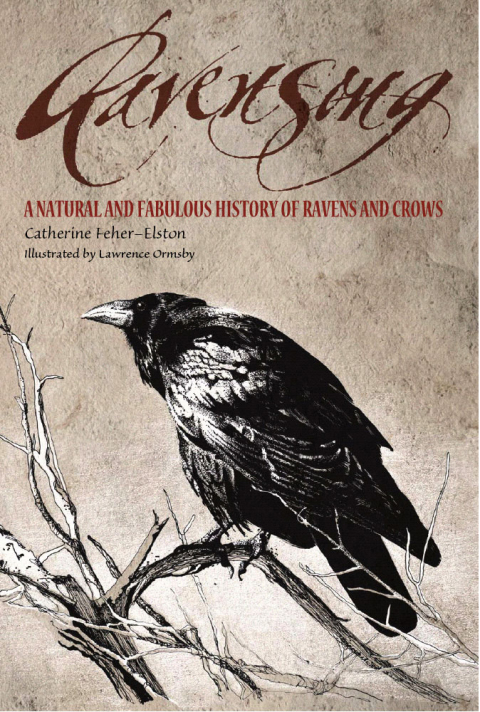 Cover image for book Ravensong