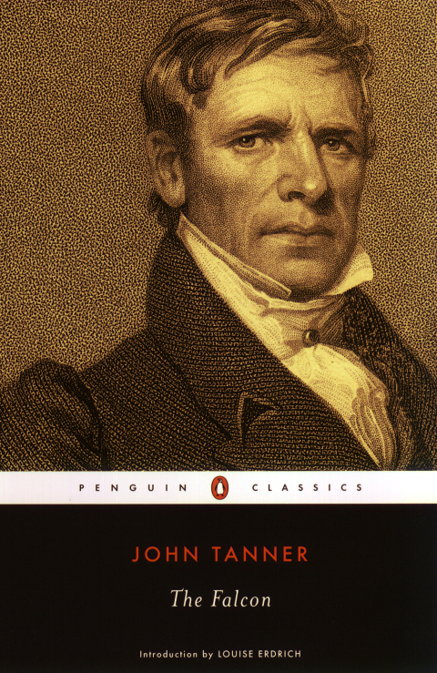 Cover image for book The Falcon