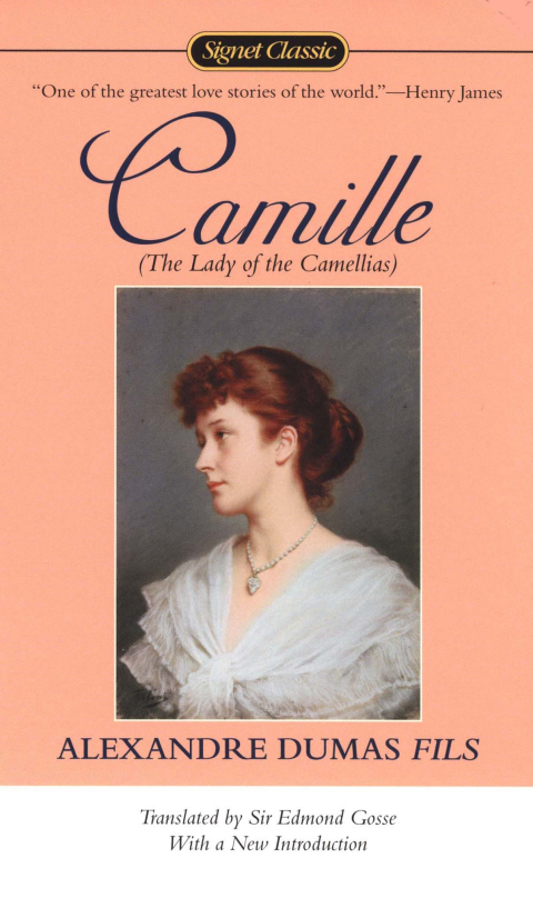 Cover image for book Camille