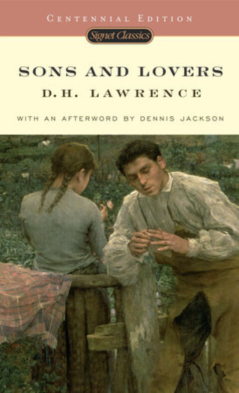 Cover image for book Sons and Lovers