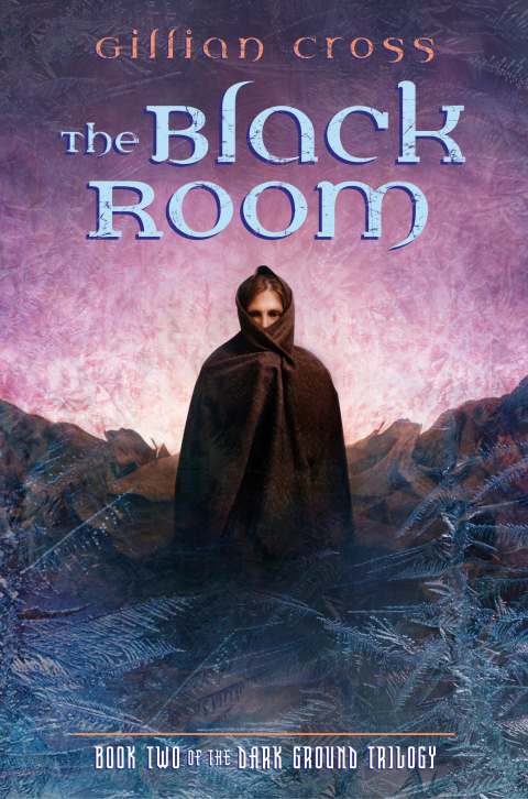 Cover image for book The Black Room