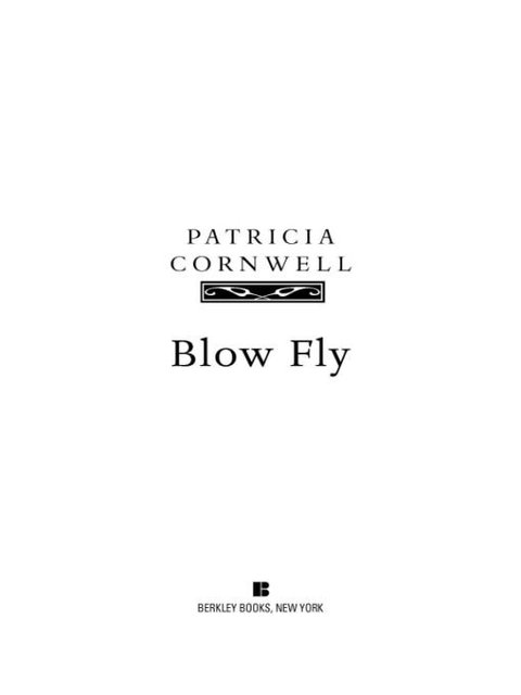 Cover image for book Blow Fly