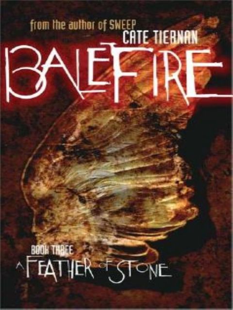 Cover image for book A Feather of Stone #3
