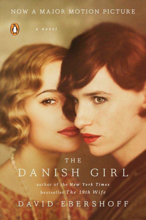 Cover image for book The Danish Girl