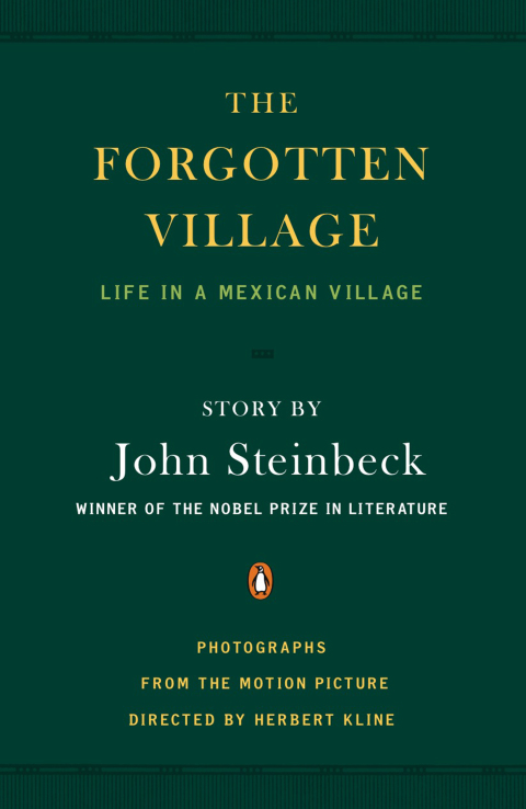 Cover image for book The Forgotten Village