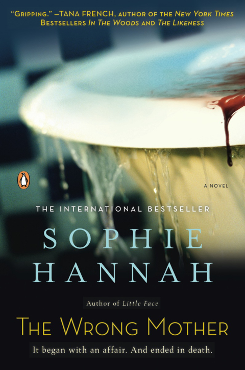 Cover image for book The Wrong Mother