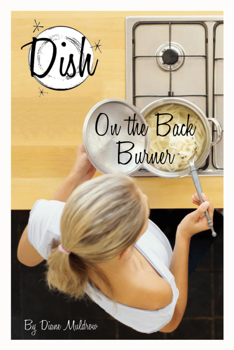 Cover image for book On the Back Burner #6